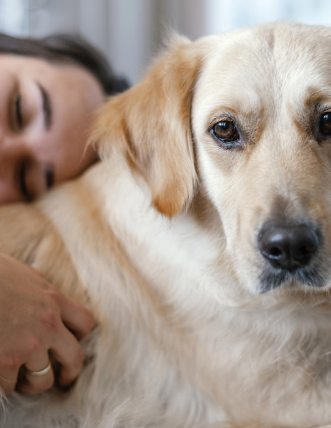 Los Pasiegos Hotel Dog lying down with his owner cuddling him